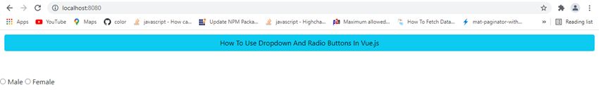 How To Use Dropdown And Radio Buttons In Vue.js